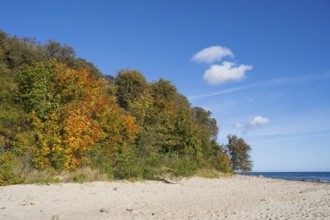 Beach and cliffs, autumn, Lobbe, Mönchgut, Rügen, island, Baltic Sea, Mecklenburg-Western