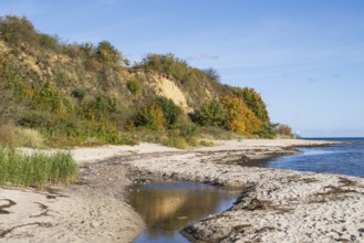 Beach and cliff with reflection, autumn, Lobbe, Mönchgut, Rügen, island, Baltic Sea,