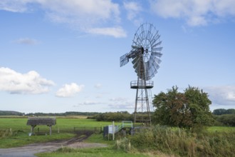 Windmill at Windschöpfwerk Lobbe, Technical Monument, Lobbe, Mönchgut Peninsula, Rügen, Island,