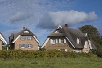 Two new thatched houses next to each other, Lobbe, Mönchgut peninsula, Rügen, island, Baltic Sea,