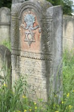 Tombstone with relief of a crown and star of David, Jewish cemetery, since 1866, Czernowicz,