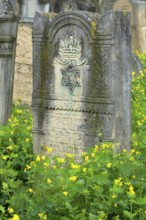 Tombstone with reliefs of crown and star of David, Jewish cemetery, since 1866, Czernowicz,