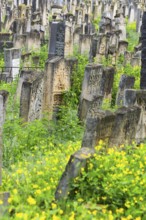 Tombstones at the Jewish cemetery, since 1866, Czernowicz, Bukovina, Ukraine