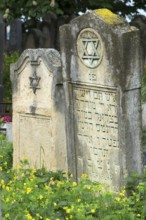 Tombstones with reliefs of a Star of David, Jewish cemetery, since 1866, Czernowicz, Bukovina,