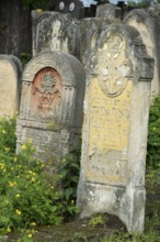 Jewish tombstones with coloured reliefs, Jewish cemetery, since 1866, Czernowicz, Bukovina, Ukraine
