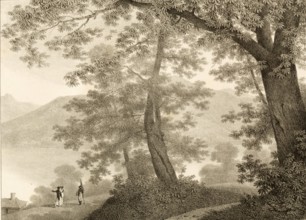 Villa Sommariva garden, now known as Villa Carlotta, is located in Cadenabbia on Lake Como, 1860,