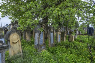 Old tombstones at the Jewish Cemetery, Czernowicz, Bukovina, Ukraine