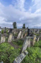 Historic Jewish Cemetery, since 1866, Czernowicz, Bukovina, Ukraine
