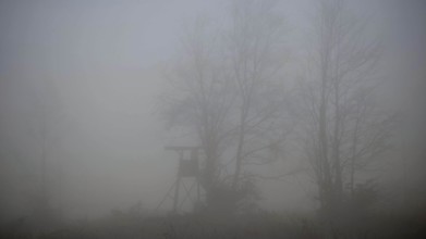 A high chair in a foggy forest, quiet and dull atmosphere, Thuringian Forest nature park Park
