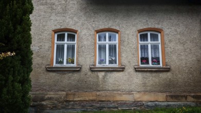 Three glazed windows with curtains and flowers, orchids (Orchidaceae) on a rustic house façade,