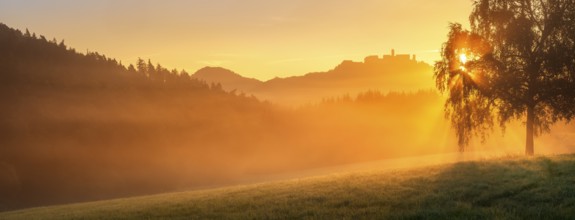 View of the Wartburg in the Thuringian Forest at sunrise and morning fog, the sun shining through