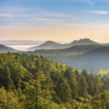 View of endless green forests of Wartburg in the Thuringian Forest in morning light, fog and haze