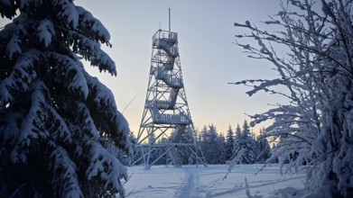 Snow-covered observation tower in the forest at dusk, surrounded by trees, Döbraberg, Frankenwald