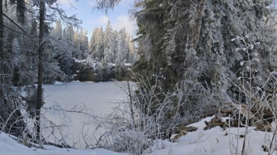 Frozen lake in the forest, surrounded by snow-covered trees, quiet winter landscape, Fichtelgeb