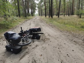 An overturned bicycle is lying on a sandy forest path, Poland