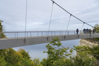Skywalk with people, viewing platform at the Königsstuhl National Park Center, view of the chalk