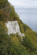 View of the chalk cliffs and Baltic Sea at the Königsstuhl National Park Center, Jasmund National