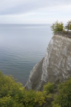 View of Königsstuhl chalk cliffs and Baltic Sea, Jasmund National Park, Sassnitz, Rügen island,