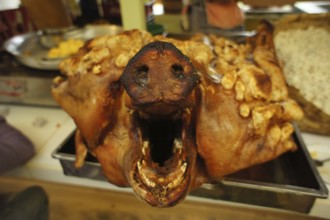 A roasted pig's head (porcus) with a crispy crust in a rustic restaurant, Ecuador