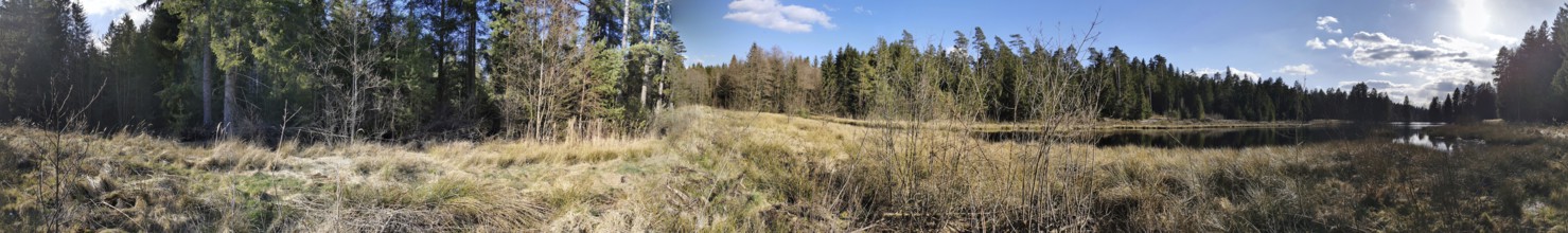 A vast landscape with meadows and forests under a blue sky, Franconian Forest nature park Park
