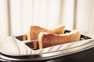 Two slices of bread are toasting in a shiny metal toaster, set on a countertop in a warm kitchen.
