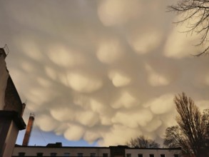 Impressive mammatus clouds float over urban landscape at sunset, Pankow, Berlin, Germany