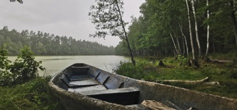 An abandoned boat is moored on a quiet, foggy forest shore, Poland