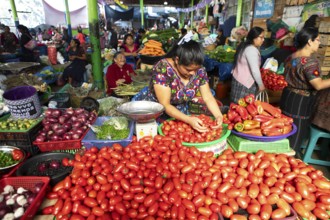 Mayan woman wearing traditional clothes at the market in Sololá, Highlands, Sololá Department,
