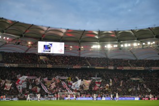 Cannstatt curve, fan block, fans, fan curve, flags, atmosphere, atmospheric blue hour, floodlights,