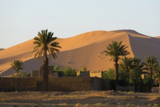 Sand dunes, sunrise, near Merzouga, Meknès-Tafilalet region, Erg Chebbi, northern Sahara, Morocco