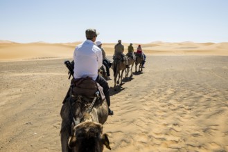 Tourists on dromedaries in the desert, near Merzouga, Meknès-Tafilalet region, Erg Chebbi, northern