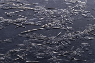 Crystal-like ice structures, frozen lake, Finland