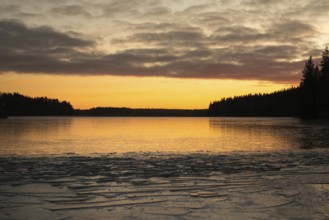Ice formation on the shore of a lake, forest, sunrise, winter, Hartola, Finland