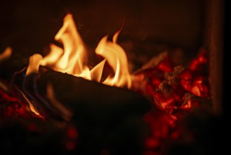 Burning wood, log, embers, fire in a fireplace
