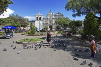 Parque Centroamérica or Parque Central, a Mayan woman in traditional clothing feeds pigeons, in the