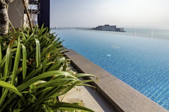 Relaxing infinity pool with ocean views, surrounded by plants, modern ambiance