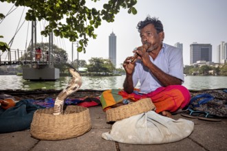 A man plays the flute in front of a snake in a basket, with an urban skyline in the background, a