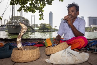 Man by the river conjures cobra with instrument in front of urban skyline