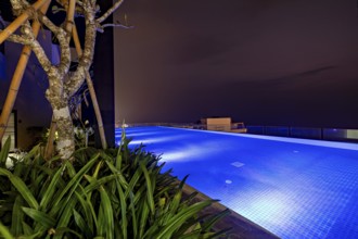 Modern swimming pool at night with blue lighting and plants, creates a peaceful atmosphere,