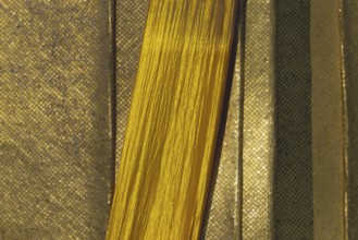 Tunic decorated with glass mosaics and 24-carat gold standing Budda, Luang Pho To or