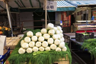 Fennel (Foeniculum vulgare), fennel bulbs, fennel greens, herb, typical market stall at weekly