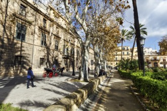 Villa Bonanno, public park, avenue with trees, plane trees and palm trees, horse-drawn carriage,