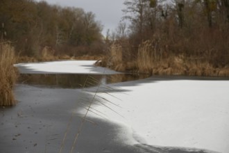 Winter atmosphere, riparian forest, ice, snow, Lower Austria