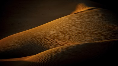 Sand dunes in the Rhub al Khali desert, detailed view, empty quarter, largest sandy desert in the