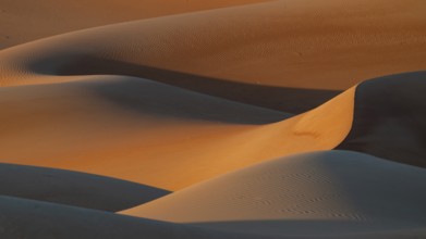 Sand dunes in the Rhub al Khali desert, empty quarter, largest sandy desert in the world, Oman