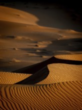 Sand dunes in the Rhub al Khali desert, detailed view, empty quarter, largest sandy desert in the