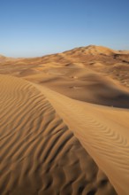 Sand dunes in the Rhub al Khali desert, empty quarter, largest sandy desert in the world, Oman