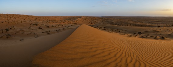 Sand dunes in the Wahiba Sands desert, Oman