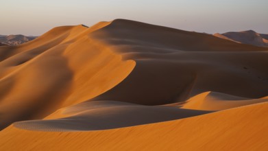 Sand dunes in the Rhub al Khali desert, empty quarter, largest sandy desert in the world, Oman