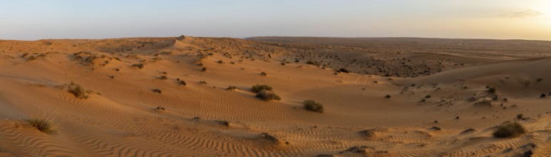 Sand dunes in the Wahiba Sands desert, Oman